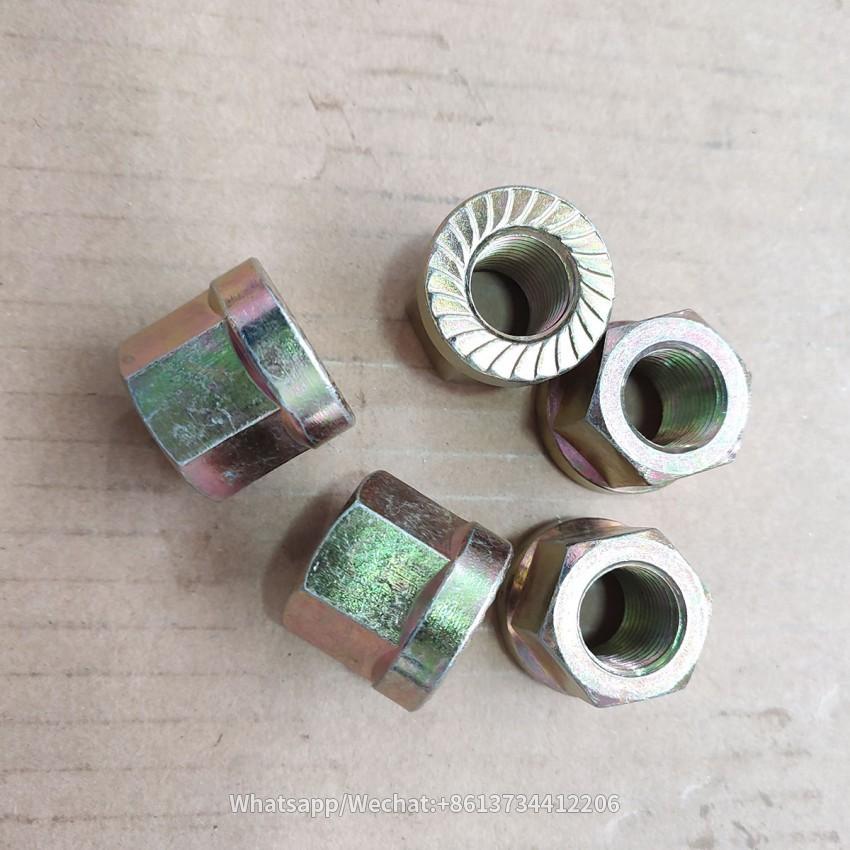Torque Bolt with Self Locking Nut M18X1.5